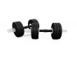 dumbbells isolated view