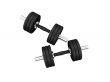 dumbbells isolated view