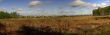 Countryside
