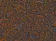 Pine needles