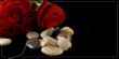 Roses and pebble