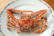 Cooked crab