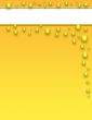 Gold Splash Template