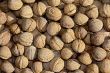 walnuts