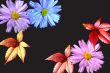 Many-colored flowers and leaves