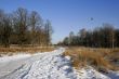 Winter landscape