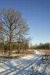 Winter landscape