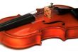 Small violin in a hand