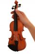 Small violin in a hand