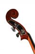 Contrabass