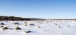 White silence.