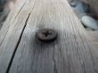 Nail in board