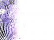 Burst and copyspace