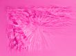 Pink valentine background
