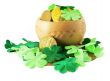 Saint patrick`s pot with gold and shamrock isolated