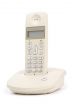 Office Wireless Phone