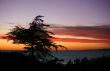 Beach at sunset