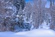 Winter Skys 3