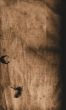 Paper background