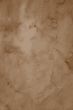 Paper background