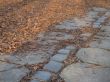 Fill up leaves track in the park