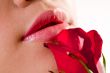 lips and rose