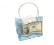 Banknote in a bag.