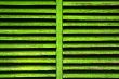 old green shutter