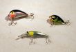 Artificial fishes