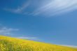 Field and the sky