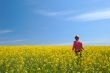 Field, sky and the woman