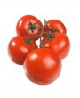 The Spanish tomatoes