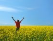 Field, sky and the man