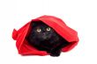 cute black cat in a red bag isolated