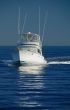 luxury cruiser