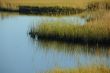 late afternoon riverbank