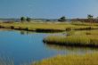 late afternoon riverbank