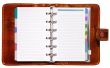 Leather Organizer