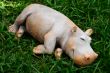 Clay Hippopotamus
