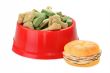Dog Food with Pet toy