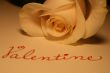 Valentine Rose