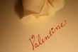 Valentine Rose