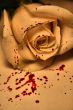morbid valentine