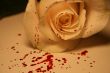 morbid valentine