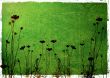 flower abstract textures and backgrounds