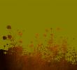 flower abstract textures and backgrounds