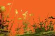 flower abstract textures and backgrounds