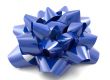 Blue Bow