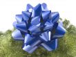 Blue bow on garland