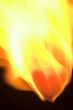 Heart Burn